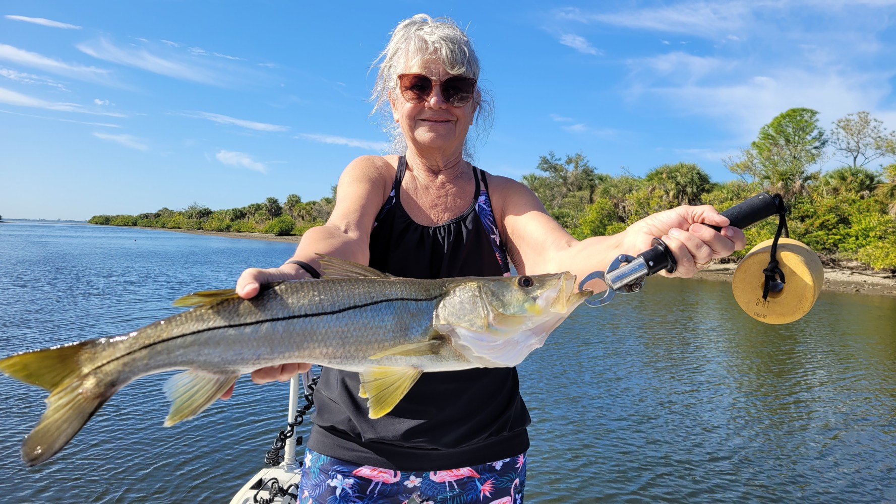 Snook Fishing Tampa 