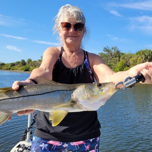 Snook Fishing Tampa
