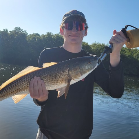 Person on a boat holding a large fish with a river and trees in the background.