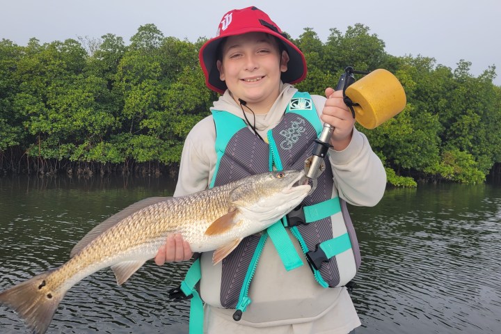Child with red hat and life vest holding a large fish by a riverbank with trees.