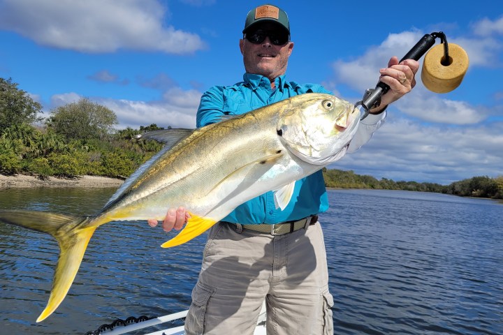Big Jack Crevalle Clearwater Beach
