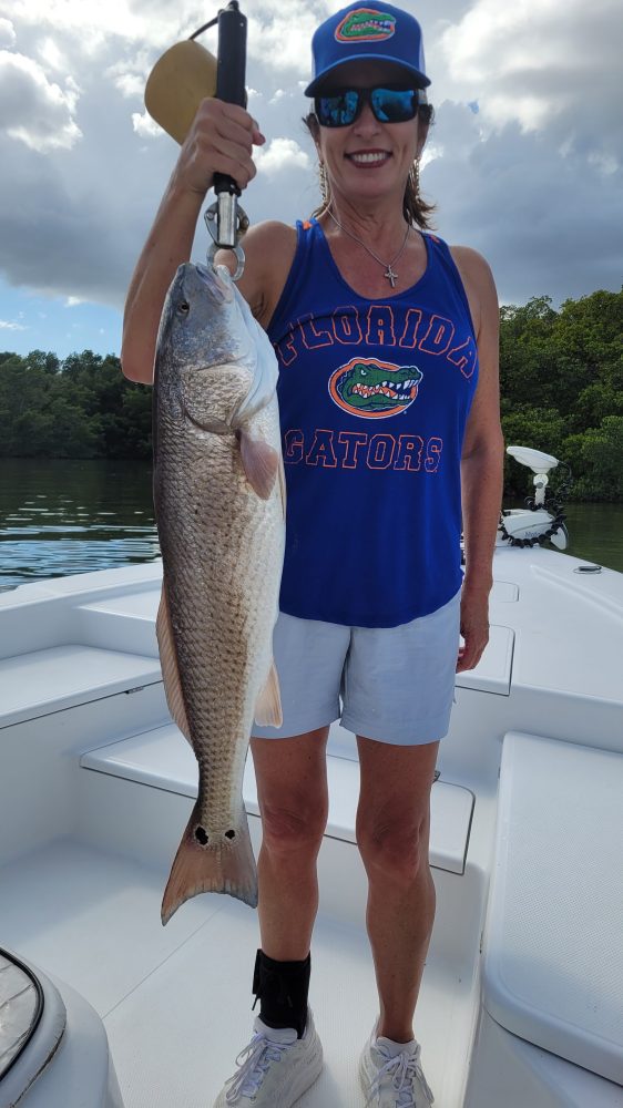 how to catch Redfish in Tampa Bay
