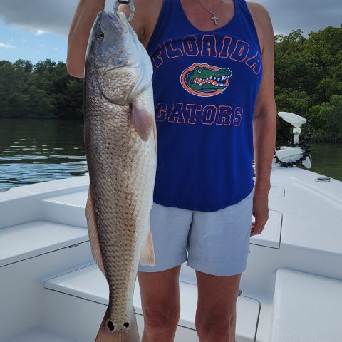 Person holding a large fish on a boat, wearing a Florida Gators tank and cap.