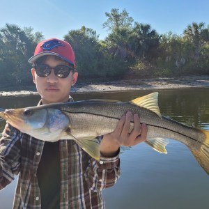 Person holding a large fish on a boat by a river, wearing sunglasses and a red cap.