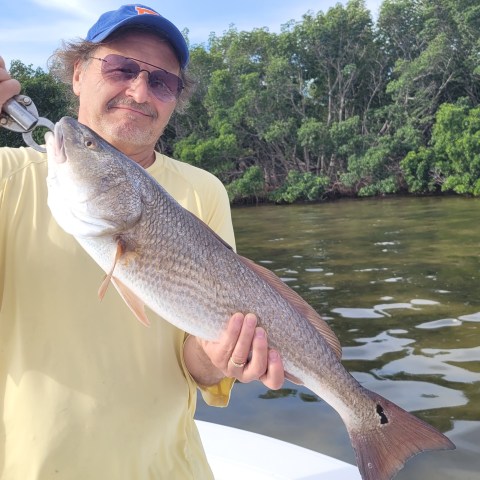 Man holding a large fish on a boat with trees in the background.