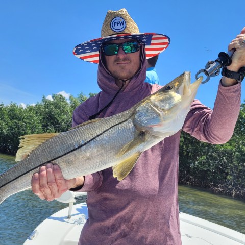 Person on boat holding a large fish with trees in the background.