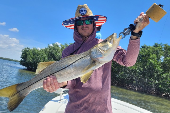 Person on boat holding a large fish with trees in the background.