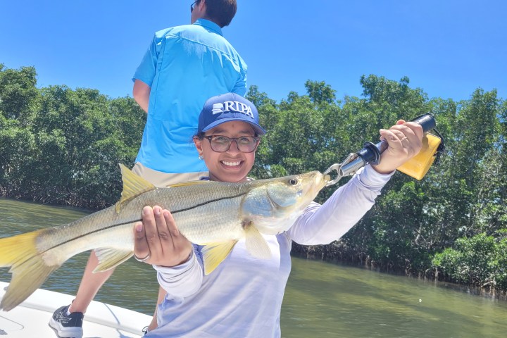 Person in cap smiling, holding a fish on a boat in sunny weather.
