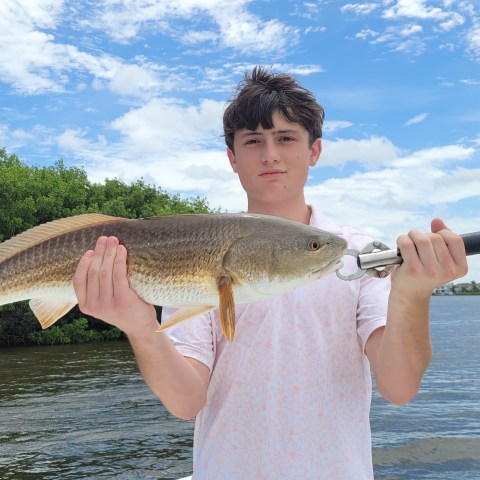 Person holding a large fish on a boat with water and trees in the background.