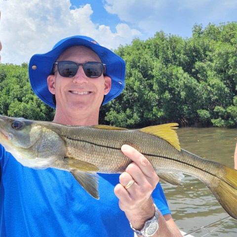 Person in blue hat holds a fish on a boat near trees.