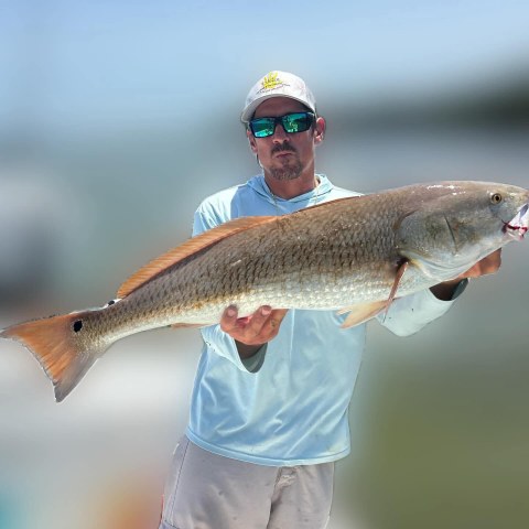 Person holding a large fish while wearing sunglasses and a hat.