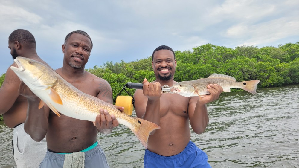 Tampa Bay Redfish