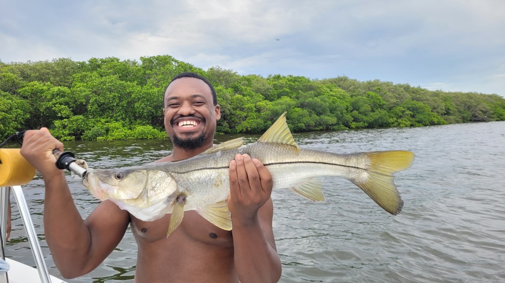 Snook Fishing Tampa